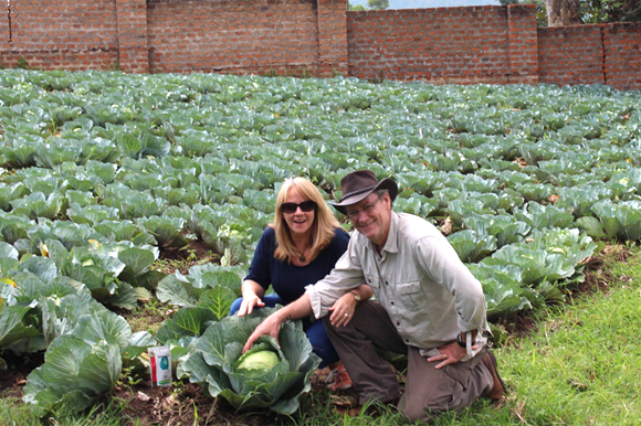 Mike and Deb Gilbert with first cabbage harvest.
