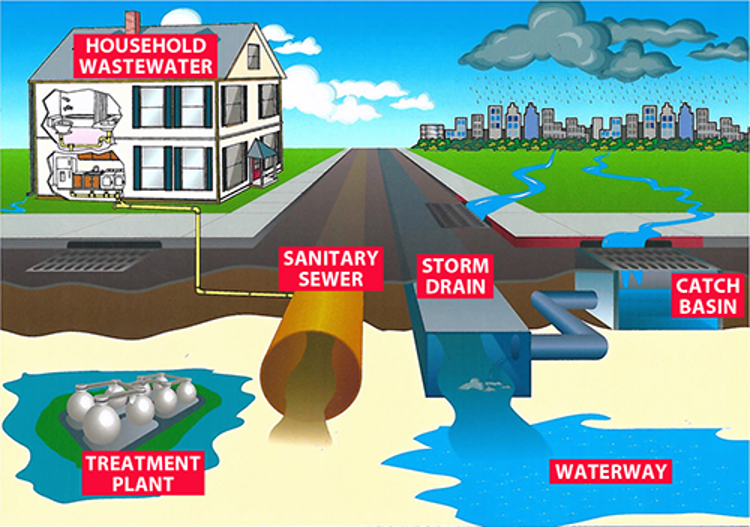 This illustration for Pinellas County's Adopt-A-Drain program shows how stormwater flows untreated into water bodies.