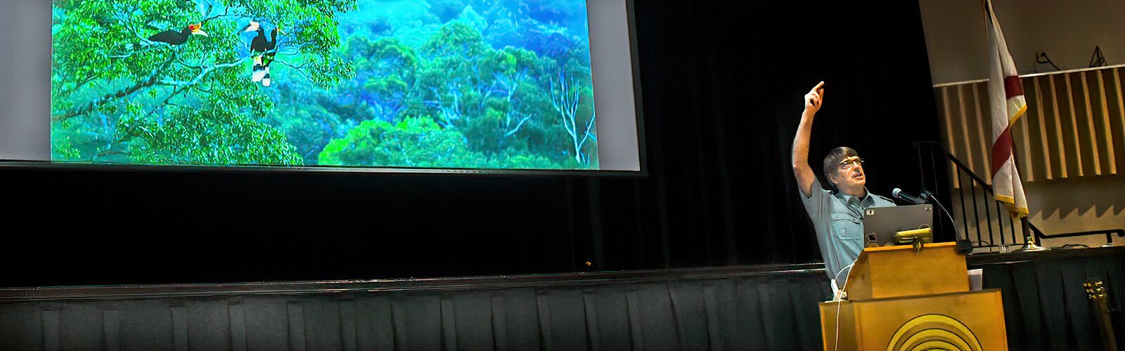 National Geographic photographer Tim Laman explains how he climbed, camouflaged, to the top of the rainforest canopy in Borneo in order to photograph these three rhinoceros hornbills.