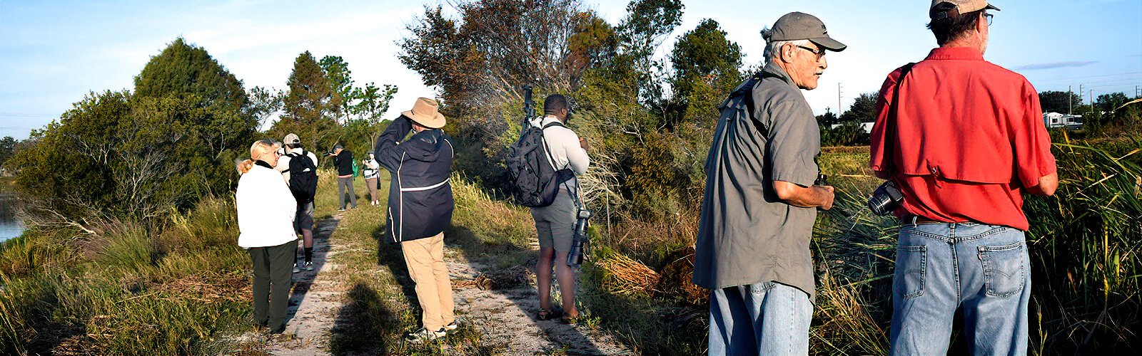  Field trip leader Dave Goodwin takes participants through Roosevelt Wetlands in Clearwater on one of the many birding trips scheduled during the Florida Birding and Nature Festival.