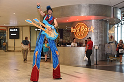 Hard Rock Cafe