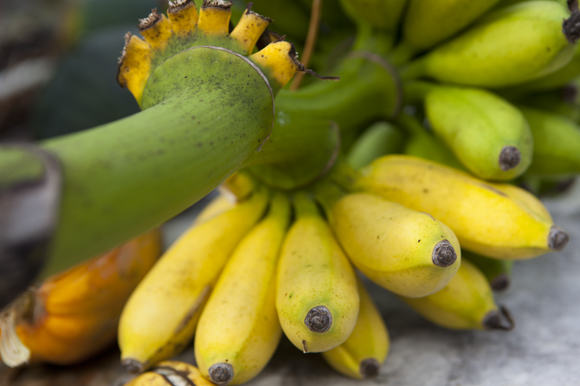 Faith House bananas