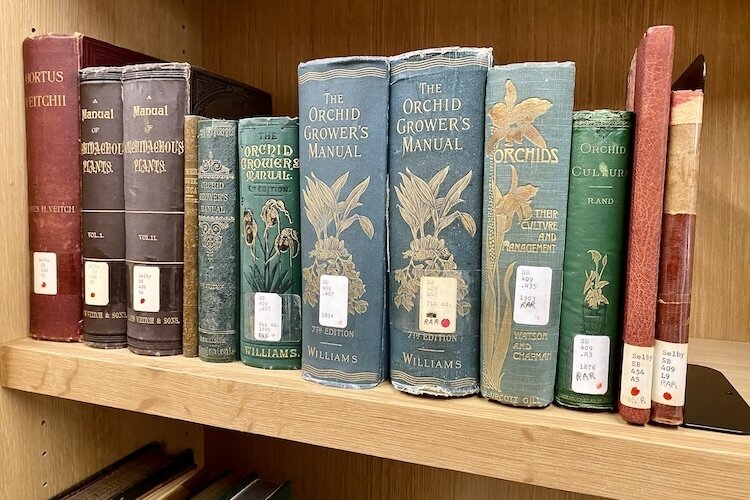 Selby Gardens’ rare book collection dates to the 1700s and contains some of the most detailed history, drawings and photographs of orchids, bromeliads and other tropical plants.