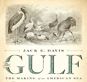 The Gulf by Jack E. Davis