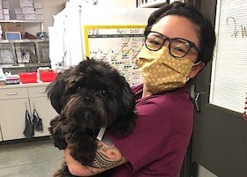 A wellness veterinary technician brings a dog to an exam for a check up.