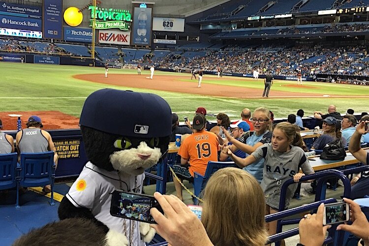 The Tampa Bay Rays are off to a historic start. What's behind it?, Tampa  Bay Rays