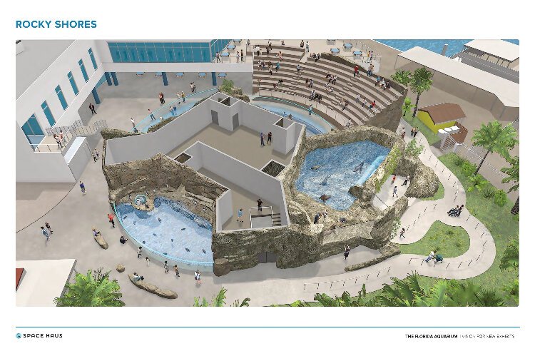 The final and largest phase of the Florida Aquarium's $40 million expansion will add outdoor habitat for California sea lions and African penguins.