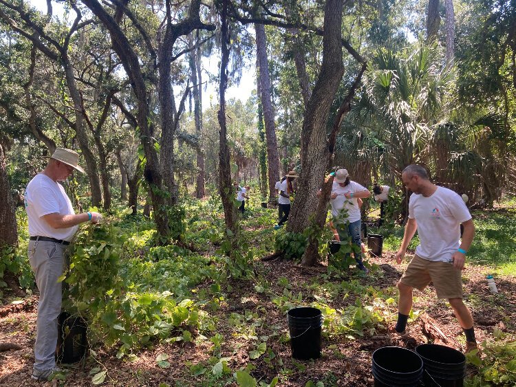 Eckerd College staff, students and faculty volunteer at Boyd Hill Nature Preserve during a day of service to launch the school's St. Pete Center for Civic Engagement and Social Impact.