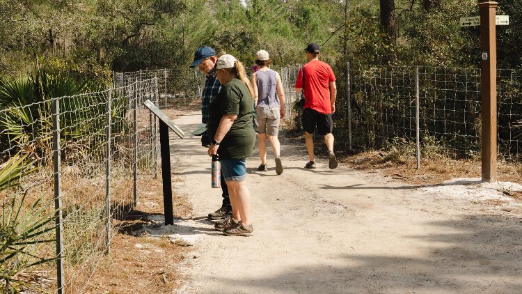 Dunedin's Gladys E. Douglas Preserve offers a journey into Florida's natural past.