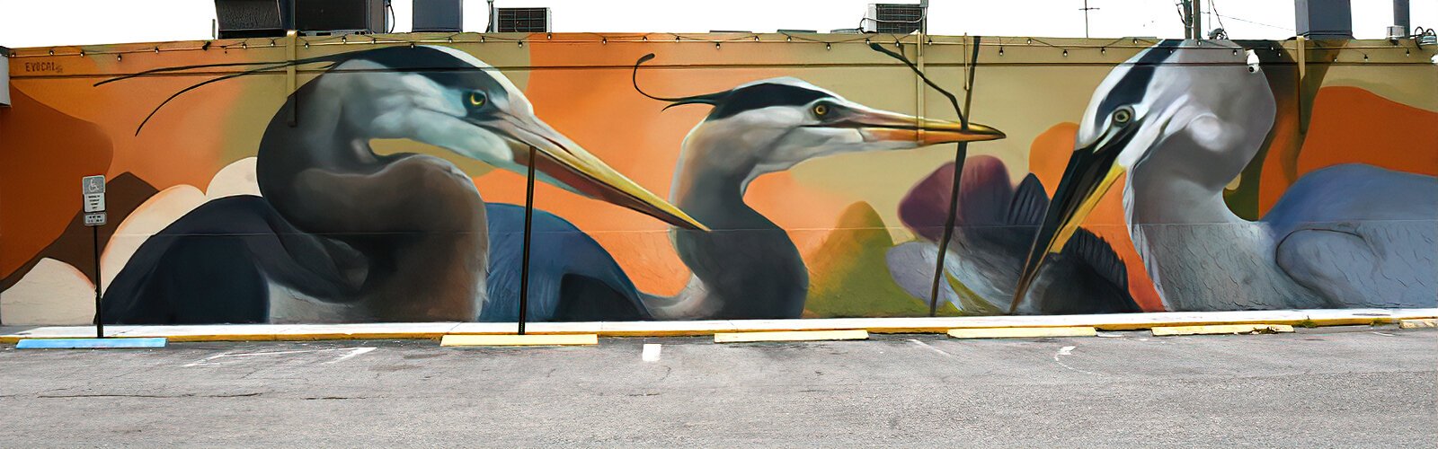 For Clearwater's Art Oasis Mural Festival, Dominican artist Evoca1 painted his “Waltz in Orange and Blue” mural on the wall of Charlie’s Sushi and Japanese Restaurant.