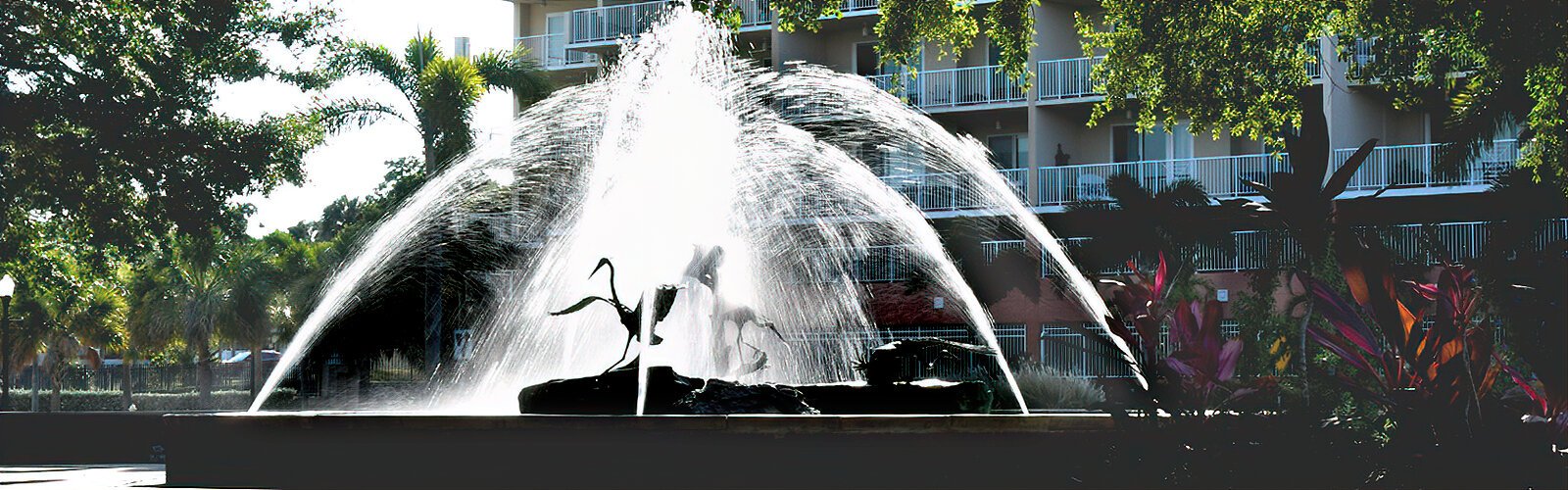 This beautiful fountain with bronze avian wildlife by sculptor Steven Dickey is the centerpiece of Safety Harbor Marina Park.