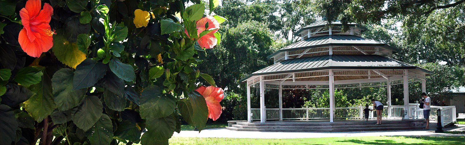 Offering a beautiful setting along downtown Safety Harbor's Main Street, the gazebo in John Wilson Park hosts afternoon concerts, weekly farmer’s markets and other community events.