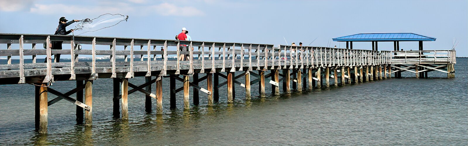  A fisherman throws a cast net from Safety Harbor’s fishing pier, where manatees and dolphins can often be seen.