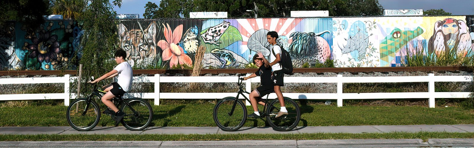 Safety Harbor is a charming place teeming with art sculptures and murals such as the Walk on the Wild Side mural, which 15 artists painted along the train tracks.