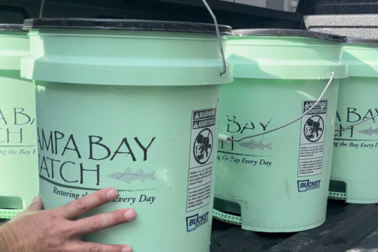 Tampa Bay Watch picks up buckets upon buckets of discarded oyster shells from area restaurants to recycle for habitat restoration.