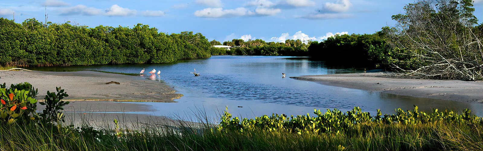 With lagoons, miles of nature trails and white beaches, Fort De Soto Park at the southern tip of Pinellas County is a place of great natural beauty.