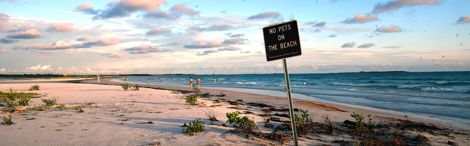  Fort De Soto Park offers miles of white sandy beaches licked by the warm waters of the Gulf of Mexico, where no pets are allowed.