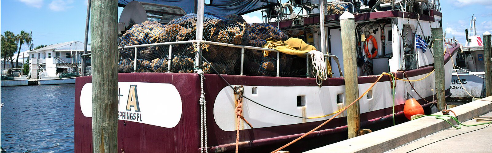 A sponge diving boat loaded with harvested sponges at the Tarpon Springs Sponge Docks. About 90 percent of all the world’s harvested sea sponges come from Tarpon Springs.