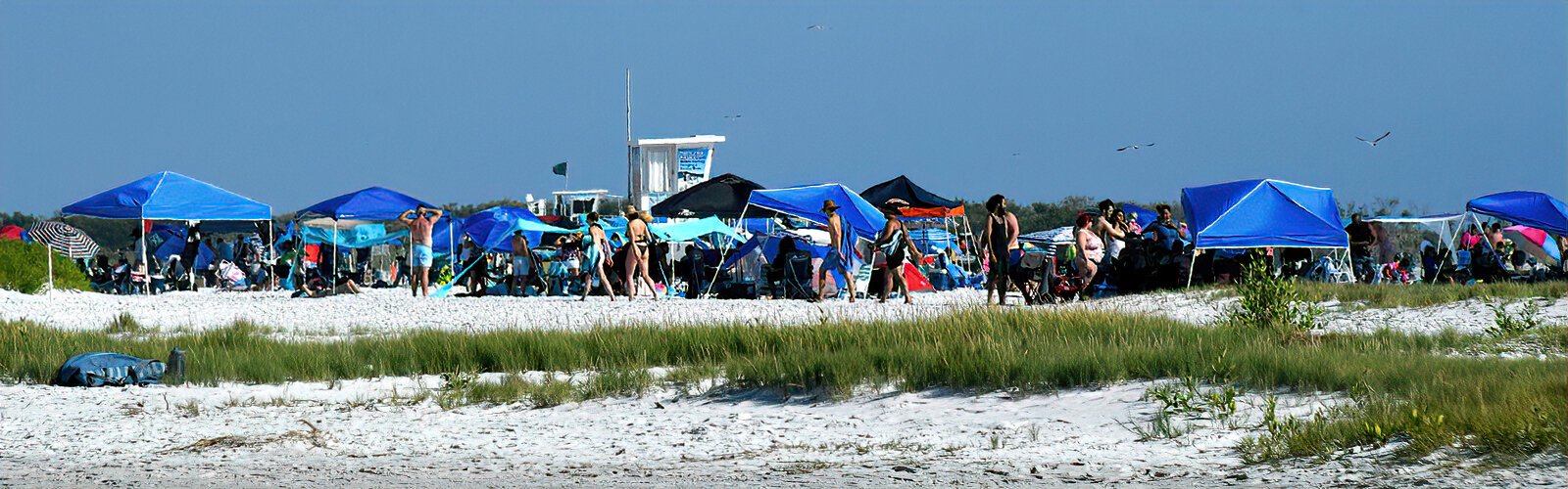  On weekends hundreds of beachgoers occupy the North Beach of Fort De Soto, enjoying swimming and other water activities on the Gulf side.