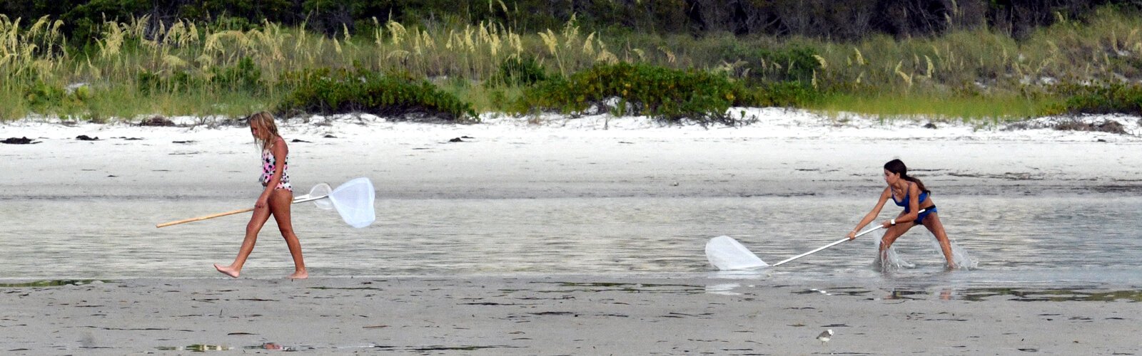 Fun activities are endless on the shores and nature trails of Fort De Soto Park, the largest park in Pinellas County.    