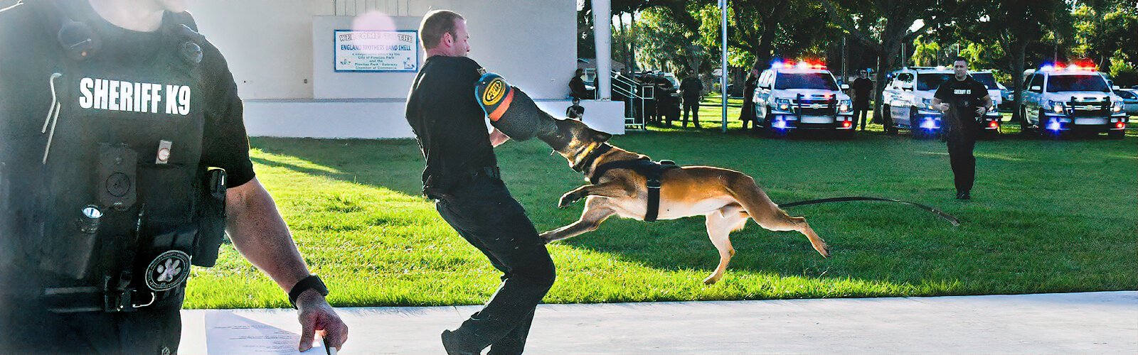 During their training, the K-9s learn obedience commands, bite work and other skills they demonstrate for the public during the graduation ceremony.