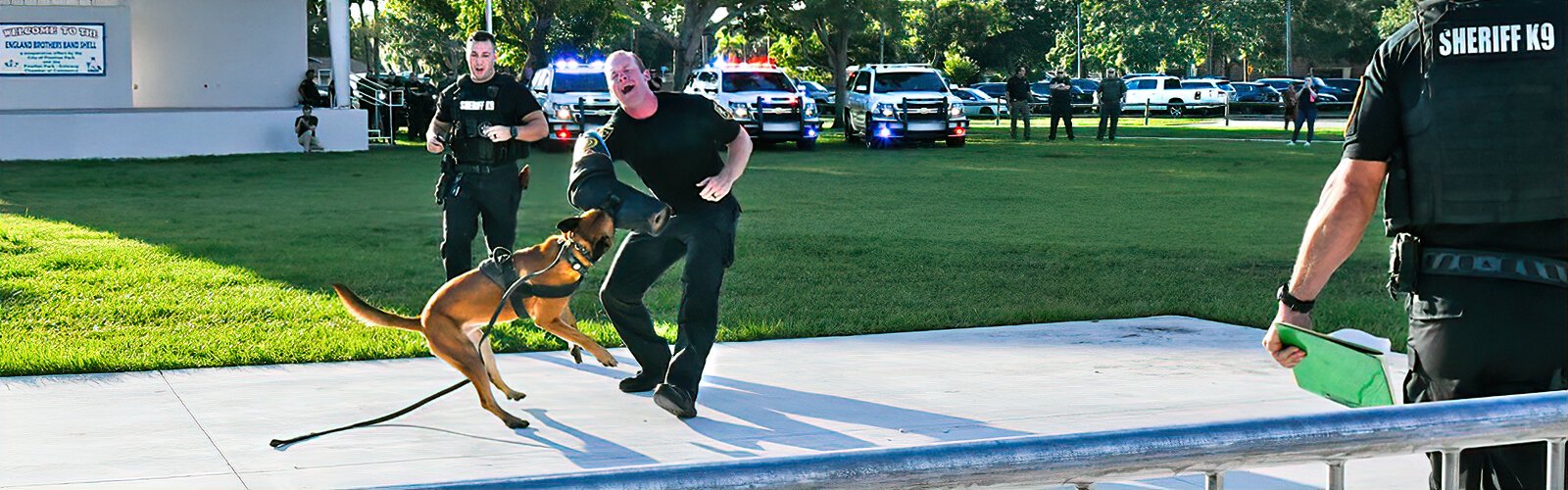 A deputy makes believe he’s in pain during a demonstration of bite work on a sleeve, a skill K-9 dogs learn during their training.