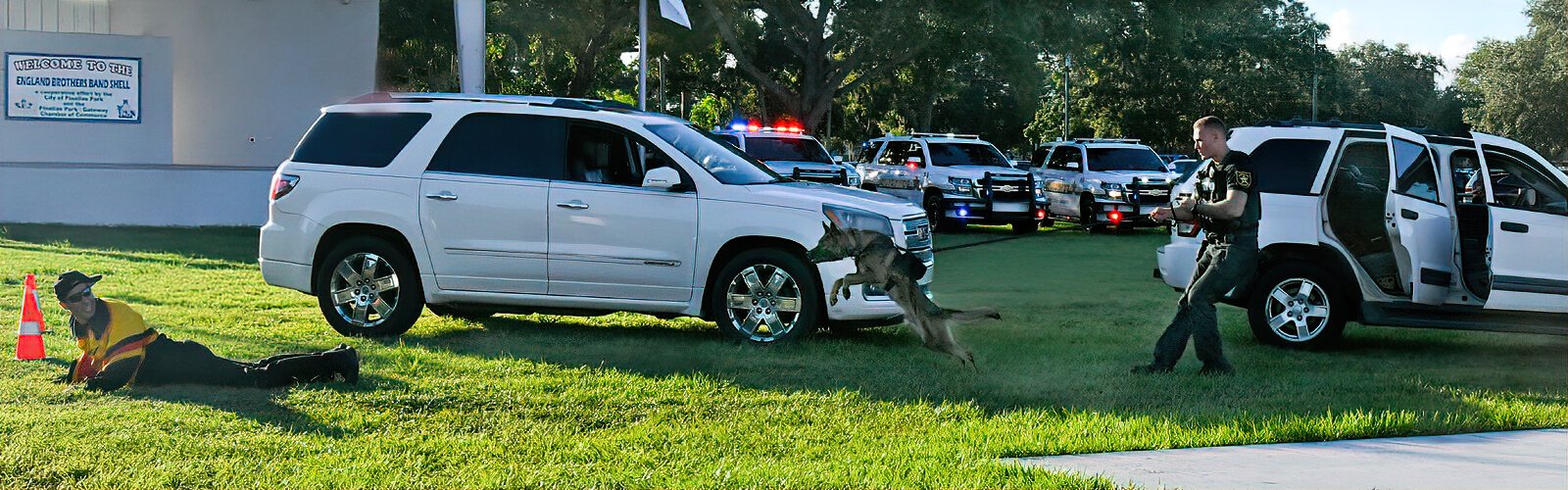 A scenario involving cars and a criminal suspect plays out at the K-9 graduation ceremony. 