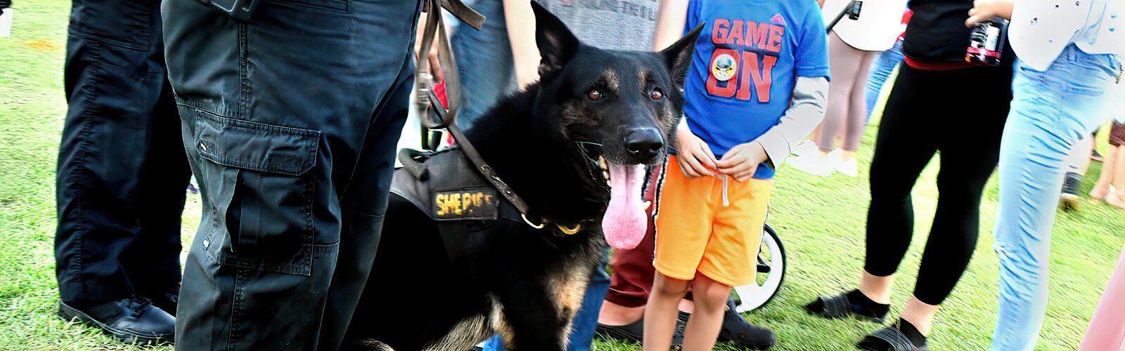 On the field after the graduation ceremony, attendees meet K-9 Logan, a German shepherd and member of the K-9 squad.