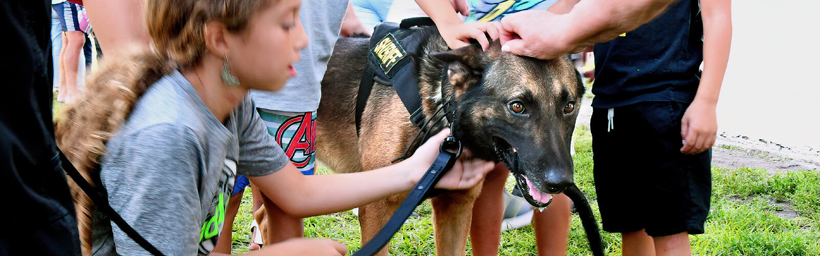 Attendees pet new graduate K-9 Rogue as they meet some of the four-legged deputies on the field.