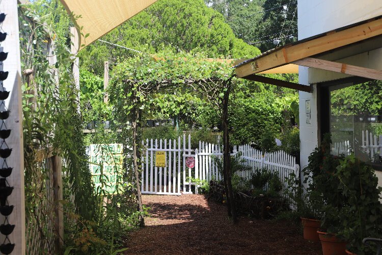 Little Red Wagon and its butterfly garden are an urban oasis in the heart of South Tampa.