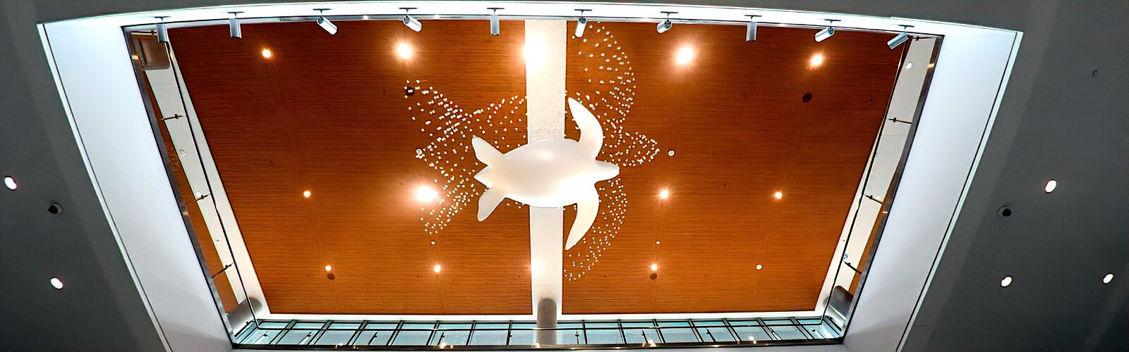 Artist Ralph Helmick’s leatherback sea turtle sculpture floating beneath a cloud of small hatchlings is part of Tampa International Airport’s diverse public art collection.