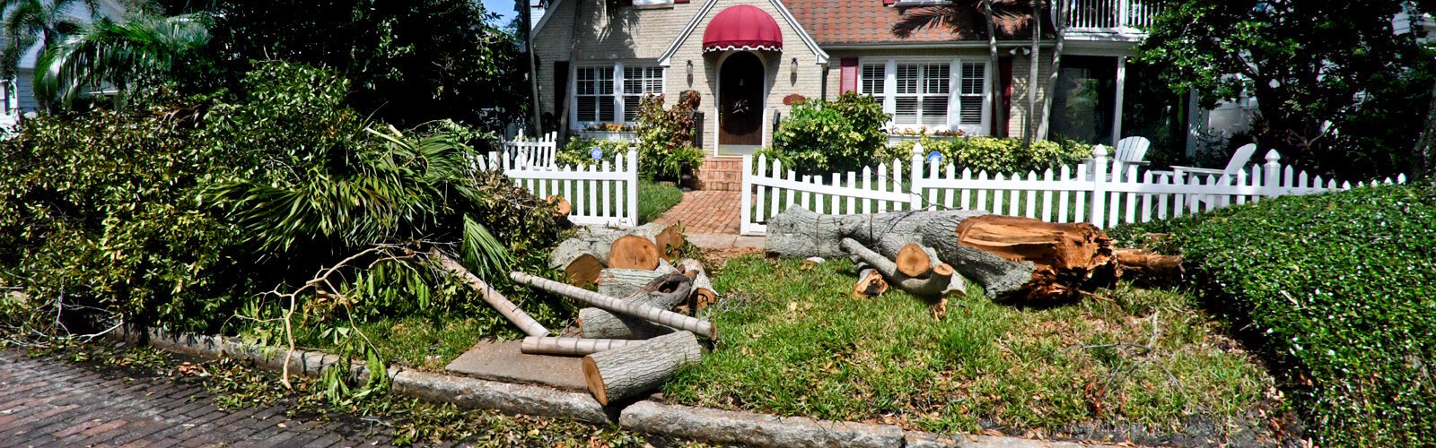 Fallen vegetation and parts of a snapped-off branch await pick-up in a St Petersburg neighborhood.