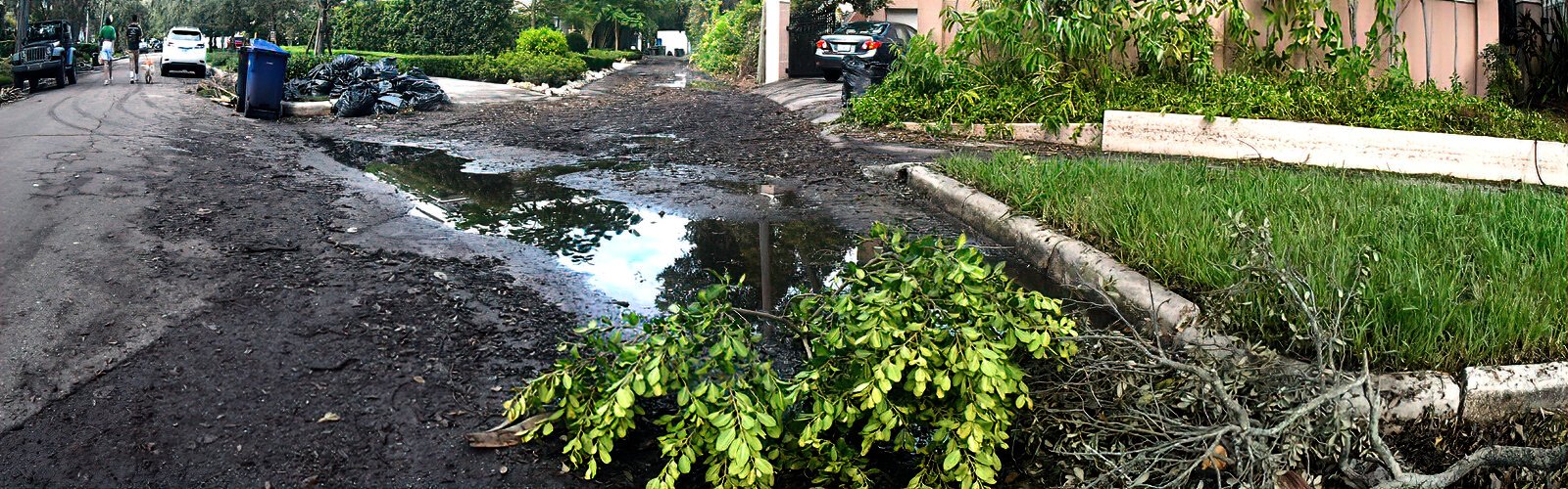  Hurricane Helene storm surge flood debris and vegetation cover passage ways to homes in Tampa’s Bayshore neighborhood.