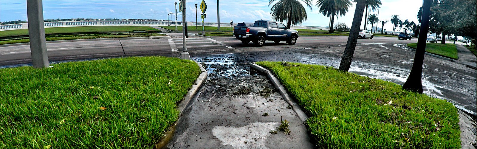 The storm surge flooding has left its muddy traces on Bayshore Boulevard in Tampa.