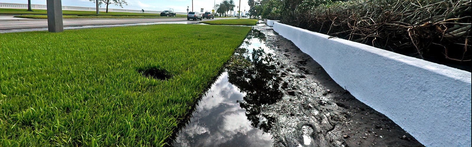  Layers of mud and debris from Hurricane Helene flooding cake the sidewalk along Tampa’s Bayshore Boulevard.