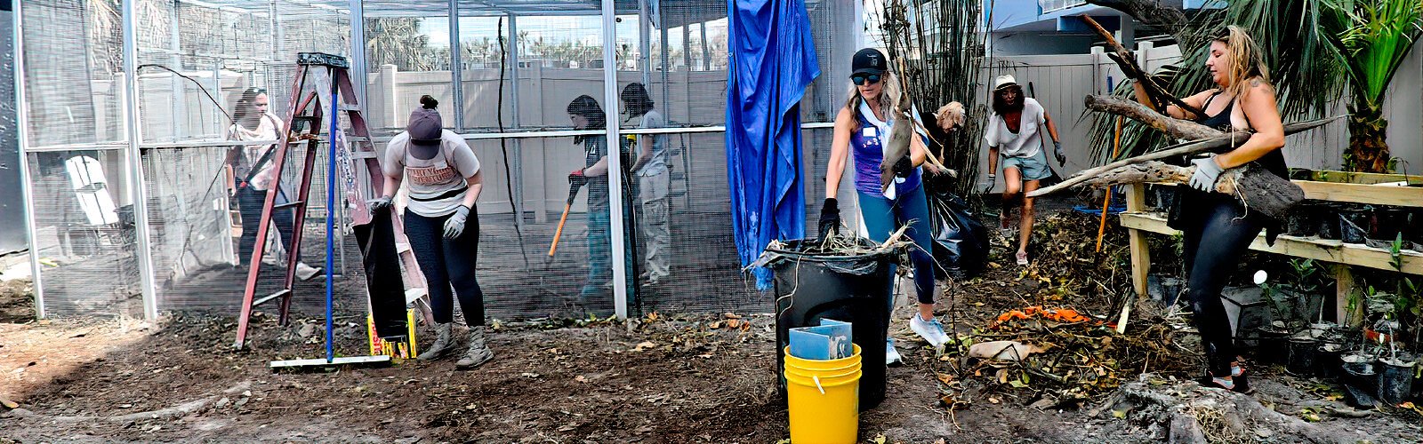 While a hundred birds from Seaside Seabird Sanctuary are still sheltered at other rescue organizations, the volunteer turnout to clean up cages and remove debris shows what community is all about. 