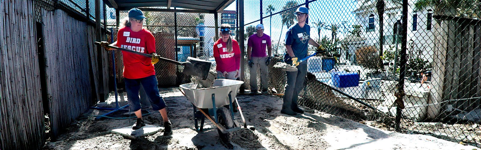 Layers of sand brought in by the storm surge are shoveled off bird enclosures by volunteers during the Seaside Seabird Sanctuary’s community event.