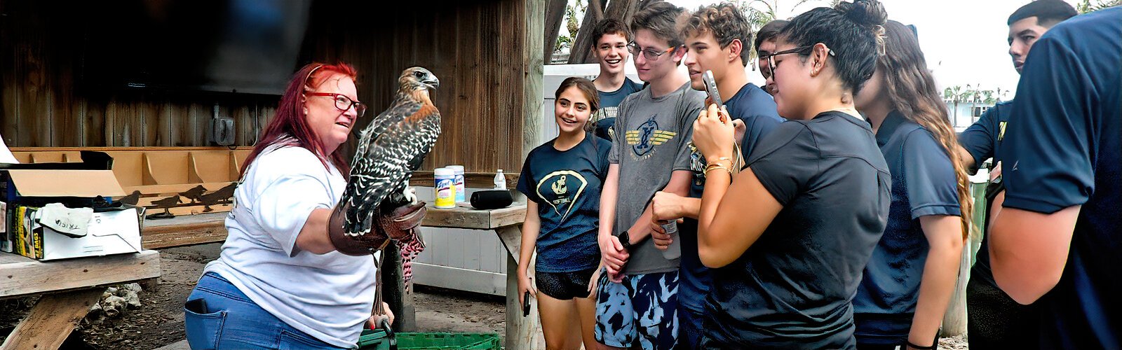 As they arrive to volunteer, students from St Pete’s Admiral Farragut Academy get introduced to Sybil, an un-releasable red-shouldered hawk handled by Carol of the Seaside Seabird Sanctuary.