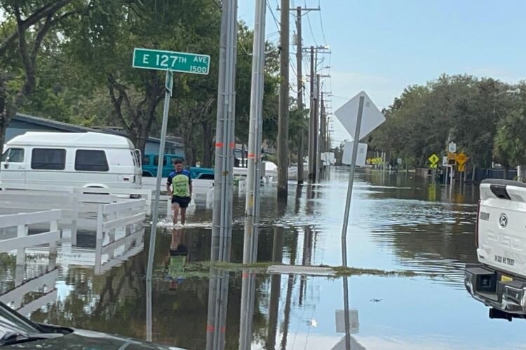 North Tampa's University Area neighborhood is not in an evacuation zone but Milton's devastating flooding damaged hundreds of homes and apartments.