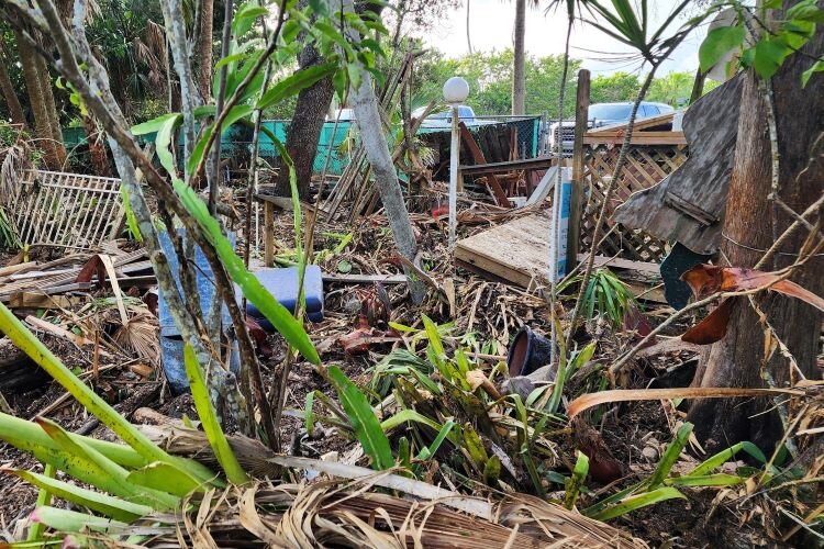 Helene's storm surge caused widespread destruction at Sacred Lands Preservation and Education in St. Petersburg's Jungle Prada area.