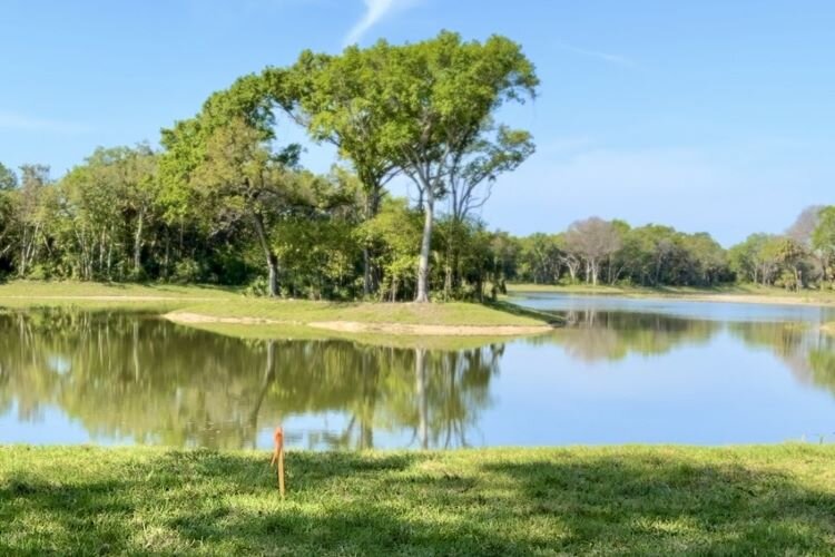 Tampa's new MacDill 48 Park features a trail system around a 10-acre, 25-million-gallon stormwater pond designed to ease flooding in South Tampa and improve water quality in Hillsborough Bay.