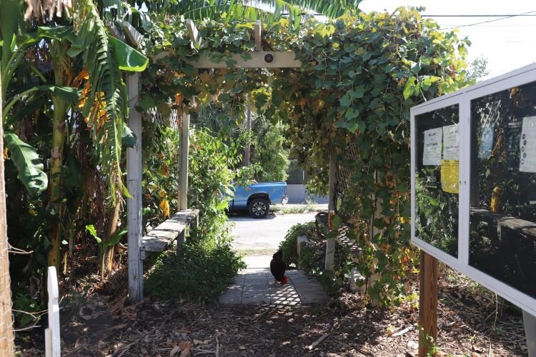 WellFed's Ybor City community garden is tucked between two homes in a modest neighborhood