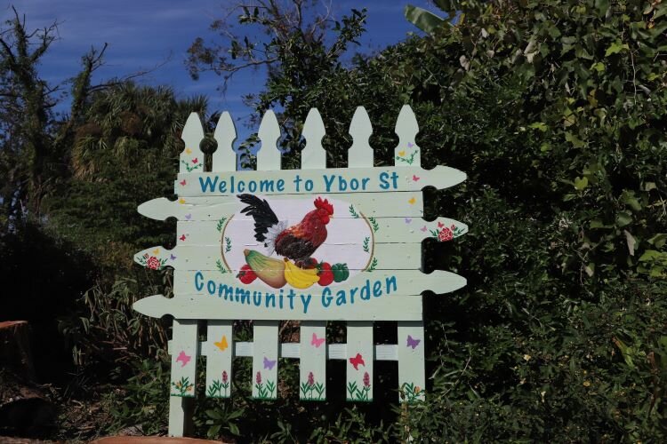 Through programs like its community garden in Ybor City, WellFed Community works to fill the gap in food education and create food sovereignty.