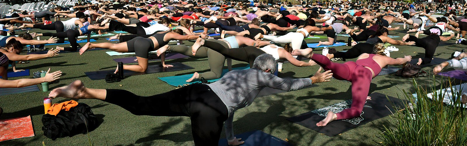 A multi-colored patchwork of bodies in challenging yoga poses covers the lawn at Armature Works during “Yoga Collaboration on the Lawn.”