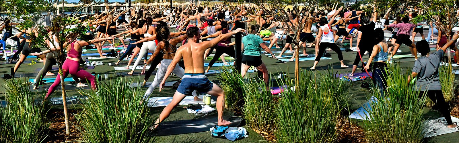  Beginners and seasoned practitioners come together for a morning of flexibility, relaxation and giving back at “Yoga Collaboration on the Lawn.”