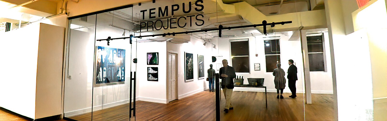 Dedicated to nurturing established and emerging artists, Tempus Projects presents the artwork of several artists working in all media.