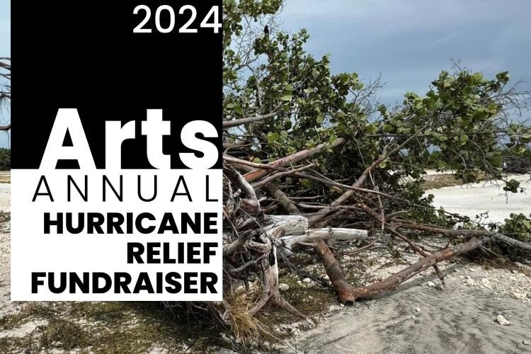 Creative Pinellas' Arts Annual Hurricane Relief Fundraiser and "Still Shining" exhibit are December 7th.