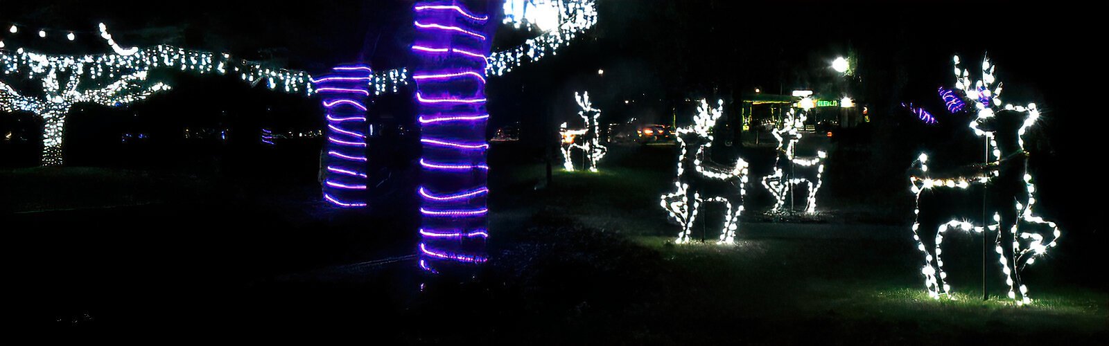 The City of Largo’s Holiday Lights in Largo Central Park is a spectacular display with more than 2.5 million dazzling LED lights.