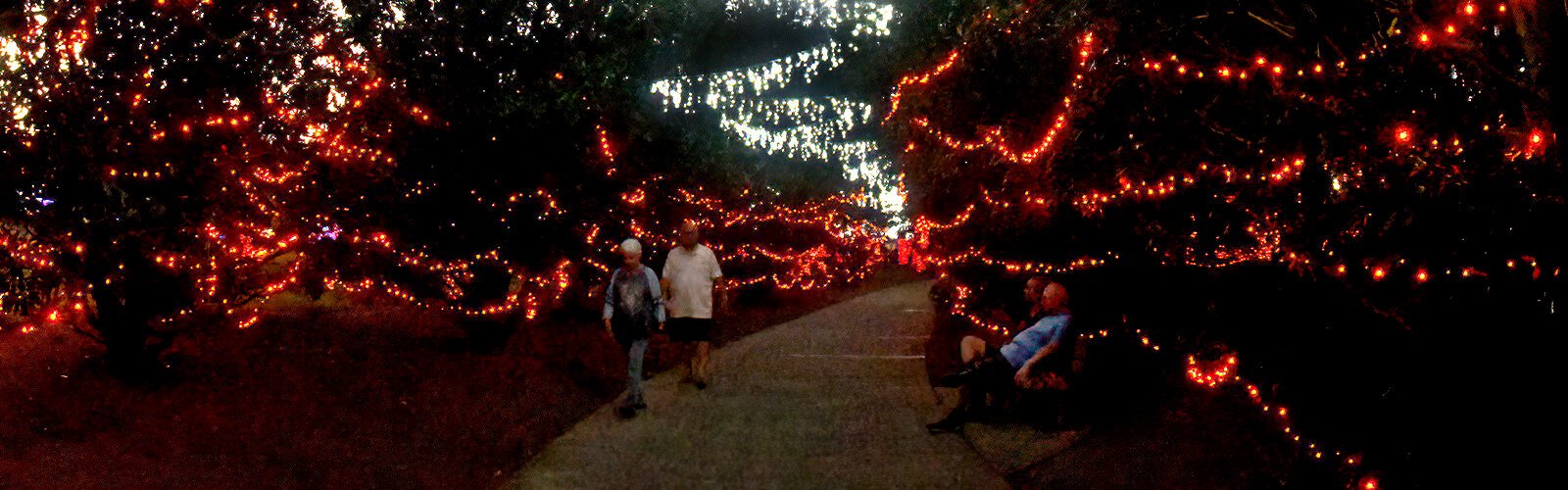 The free, family-friendly annual tradition of Holiday Lights in Largo Central Park continues through December 29th