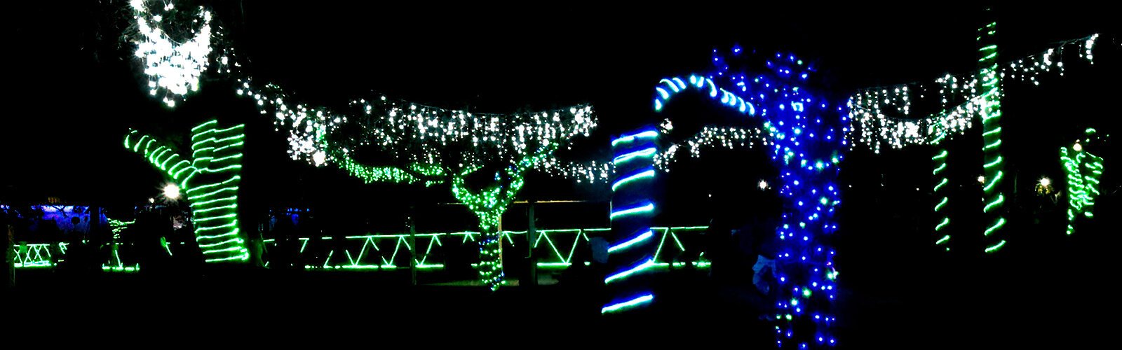 Largo Central Park's dazzling lights display celebrates the holiday season  through December 29th.